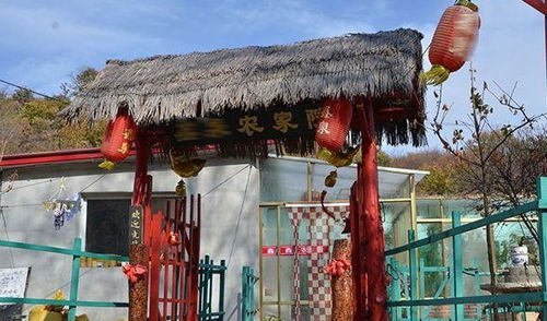 亲子农家乐，在自然中享受吃喝玩乐的乐趣