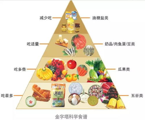 构建孩子的健康饮食，解读饮食营养金字塔