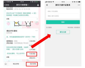 幼儿教资考试成绩查询指南，如何高效获取成绩并为下一步做准备