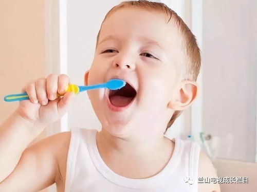 婴儿胃管喂养，粥品选择与安全指南