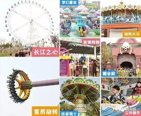 探索儿童游乐活动，类型、益处与实施指南