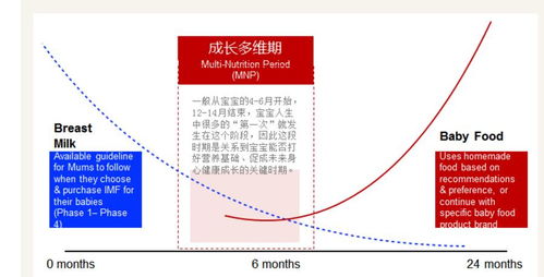 全面关注，孩子成长发展的多维关键点