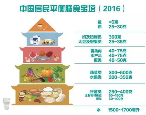 宝宝健康成长的指南，日常食物营养成分全解析