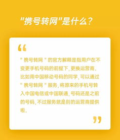 全面指导学生成长，关键内容与实践策略