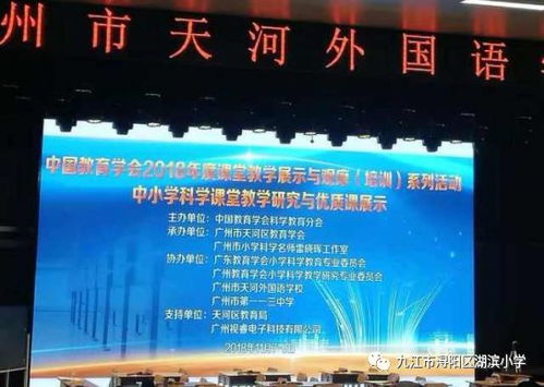 教师成长之路，感悟与建议