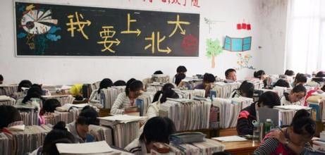 探索幼儿教育毕业生的职业道路，多元化的职业选择与发展潜力