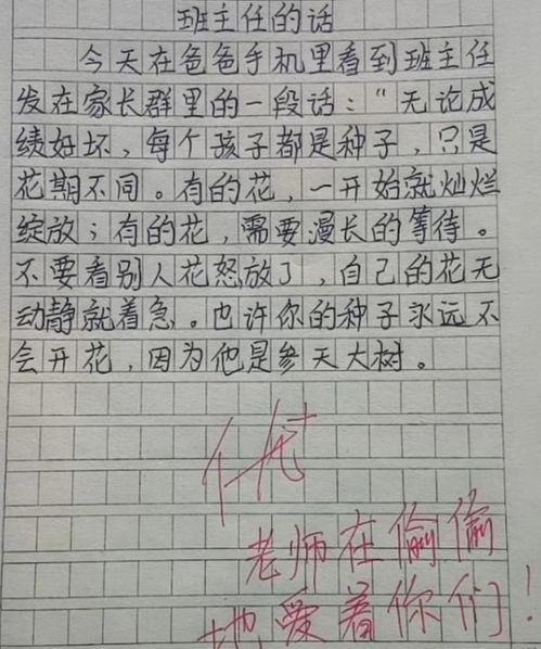 学生三年成长发展实施计划，塑造未来，从今天开始