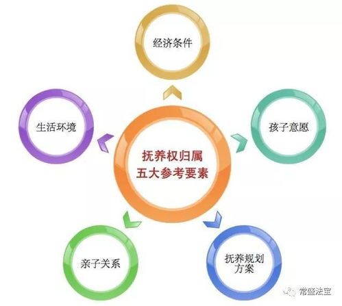 为孩子的未来绘制蓝图，制定成长规划与长期目标