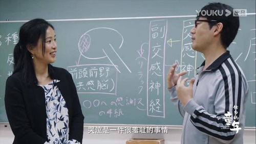 探索日本幼儿教育，纪录片中的启示与实践