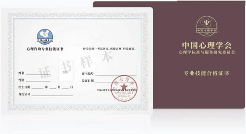 幼儿教育专业，证书选择与职业发展路径