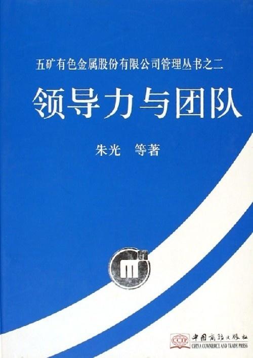 企业发展历程阶段，从初创到成熟，育儿专家视角下的领导力与团队建设