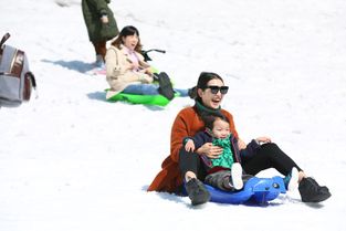 冬日奇趣，孩子在冰上玩耍的安全与乐趣