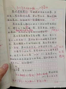 探索乐趣，400字作文中的亲子活动