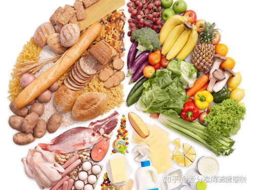 宝宝胃管喂养，营养均衡与健康饮食指南