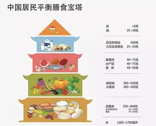 宝宝胃管喂养，营养均衡与健康饮食指南