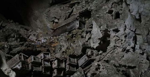 幼儿园教育视频观后感，探索幼儿成长的秘密花园