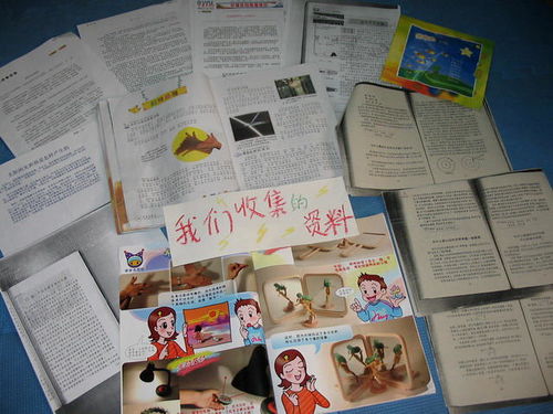 探索幼儿教育研究杂志，了解其来源与价值