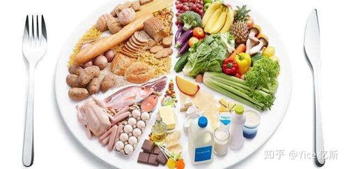 营养均衡，了解日常食物的营养成分和热量