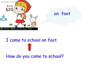 Adventure and Learning:How to Choose the Right Playground Equipment for Your Child