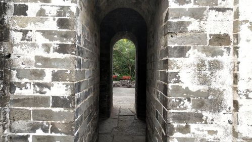 探索古代儿童的玩乐天地，古代玩乐场所的历史与文化