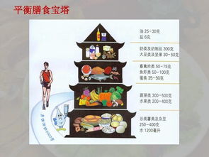 营养均衡，食品营养与食谱配餐的科学艺术