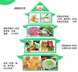 营养均衡，为孩子打造健康饮食的指南