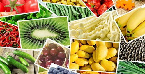 食物营养图谱，为孩子打造健康饮食的指南