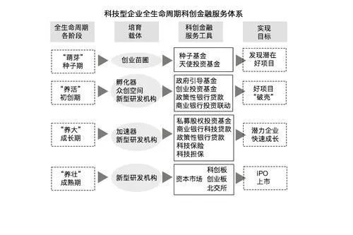 企业成长，从初创到成熟的关键因素与育儿智慧