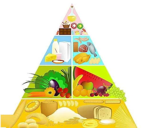 构建孩子的膳食均衡金字塔，营养均衡与健康成长