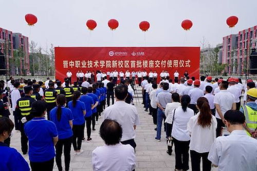 幼儿教育新视角，视频媒介的运用与影响