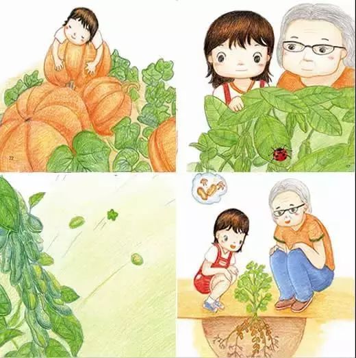 水的奥秘，激发孩子好奇心的与水相关的小项目