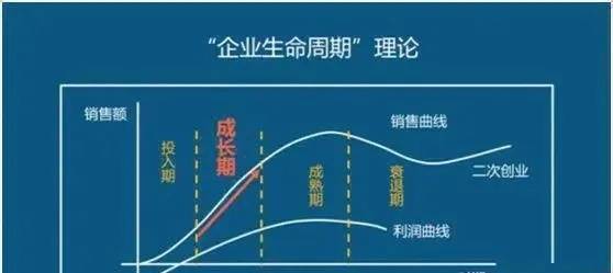 企业成长周期的阶段划分与育儿策略的启示