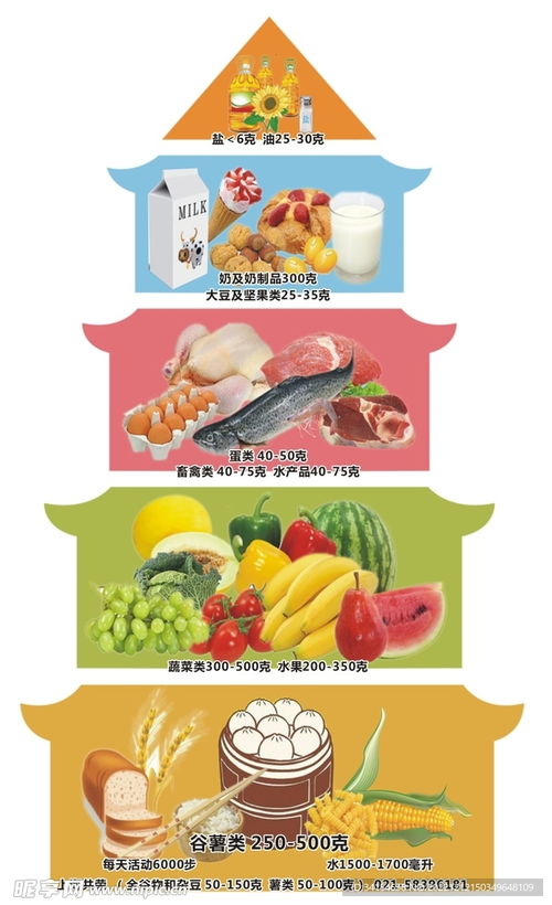 构建孩子的健康饮食，营养饮食金字塔的指南