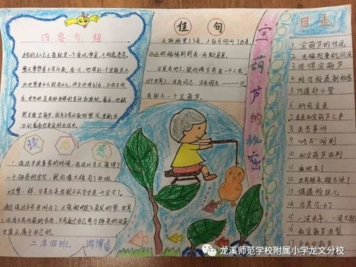 探索食物的奥秘，营养物质手抄报内容指南