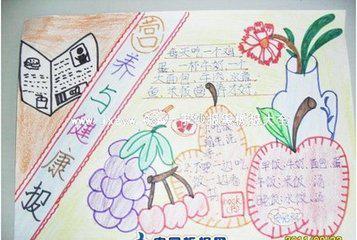 四年级学生的食物营养手抄报，简单又漂亮的健康指南