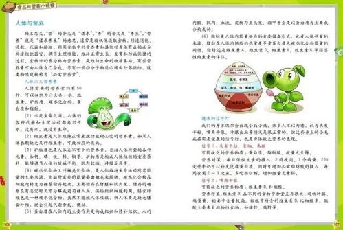 宝宝健康成长的秘密，全面解读食物营养搭配表