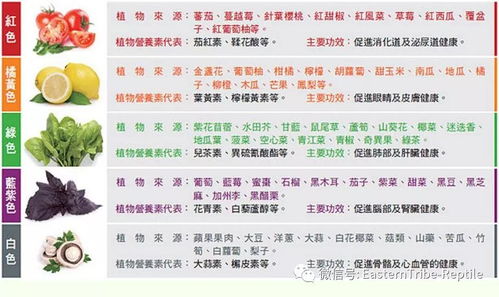 营养全解析，200种食物的一般营养成分指南