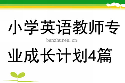 教师成长计划，教育领域的专业发展与自我提升