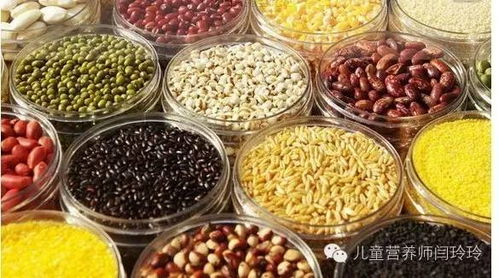 一日三餐营养金字塔，为孩子打造均衡饮食