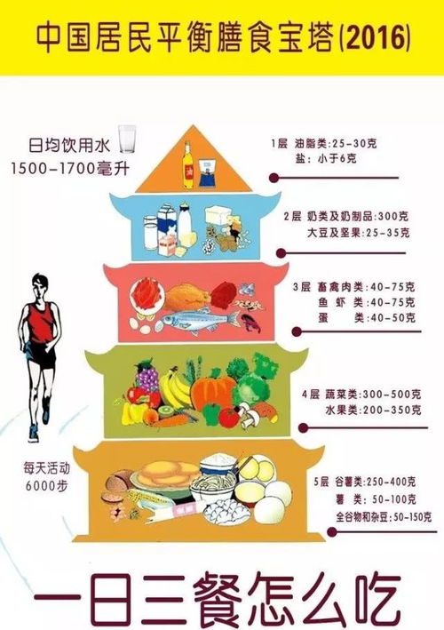居民营养均衡金字塔，构建健康饮食的基石