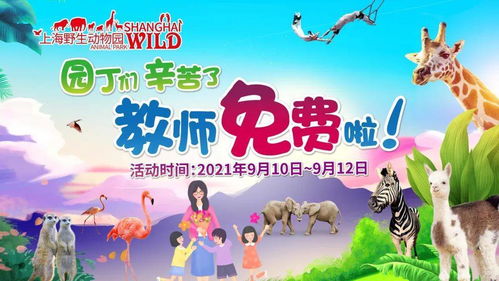 探索儿童游乐项目，安全、教育与乐趣的完美融合