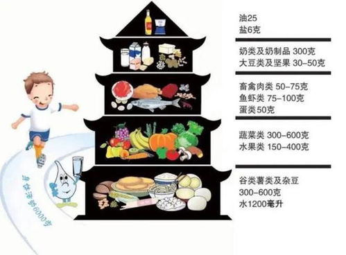 营养物质金字塔，构建孩子健康成长的基石