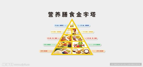 营养膳食金字塔，孩子健康成长的基石