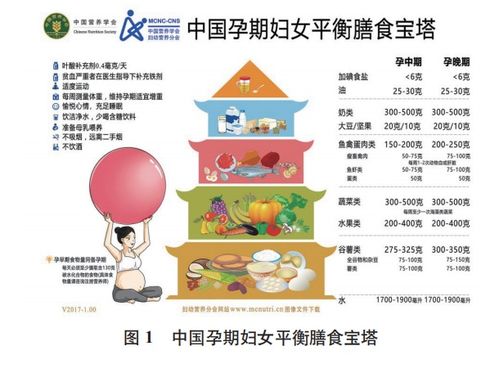 宝宝健康成长的基石，全面了解食物营养成分网