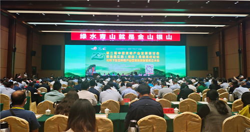 企业成长能力研究，从育儿专家的视角看企业成长