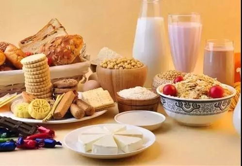 营养启航，为孩子打造健康饮食的必读书籍推荐