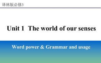 Play-Based Learning:The Power of PBL in Early Childhood Education