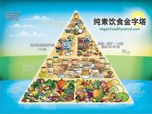 构建孩子的营养均衡金字塔，科学喂养指南