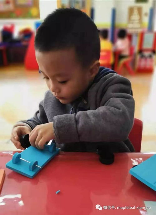 孩子的成长乐园，玩耍中的学习与探索