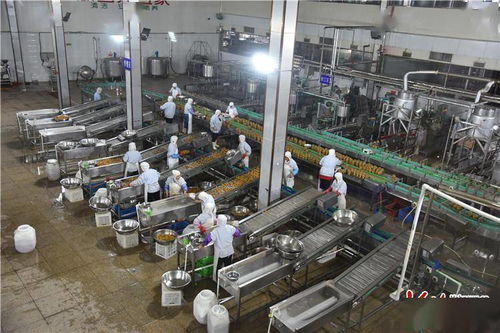 培养未来领袖，个人成长发展规划的重要性